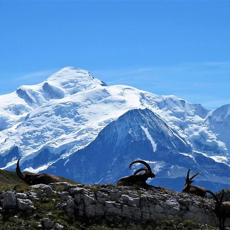 Vintage Chic -Central, Wifi, Mountain View Les Carroz d'Arâches Exterior foto